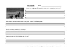 Grizzly-Fragen-3.pdf